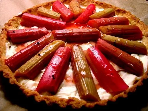 The Tart Whisperer (Martha Stewart’s Rhubarb Tart)