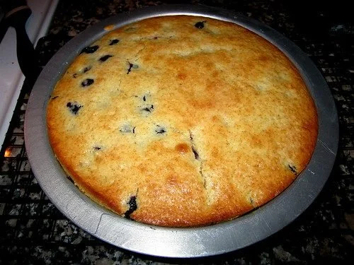 For The Love of Yogurt (Blueberry Yogurt Cake & Sour Cherry Frozen Yogurt) [PLUS: A Kitchen Travesty]