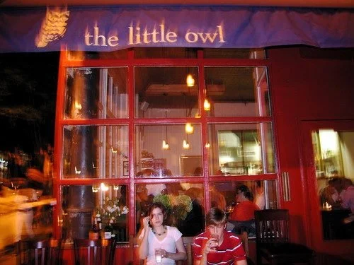 Give A Howl For The Little Owl