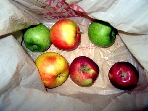 Choose Your Own APPLE Adventure