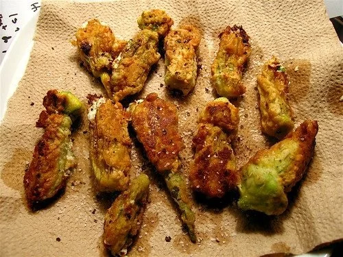 Squash Blossom Serenade