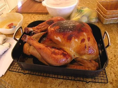 Thanksgiving Wrap-Up