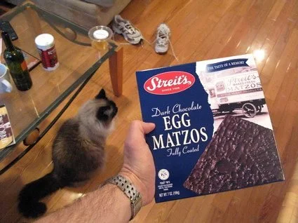 Chocolate Covered Matzos