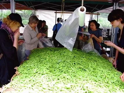 What To Do With Sugar Snap Peas