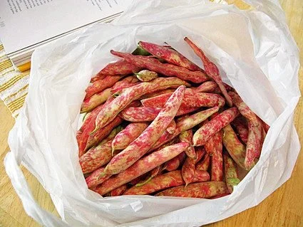Cranberry Beans