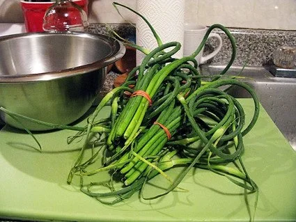 Garlic Scapes
