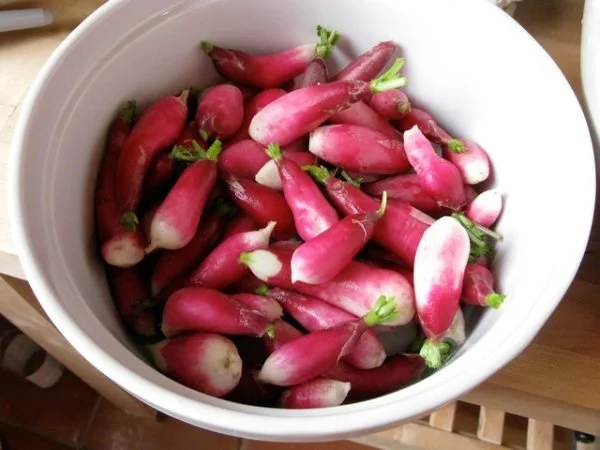 Radishes with Butter & Salt