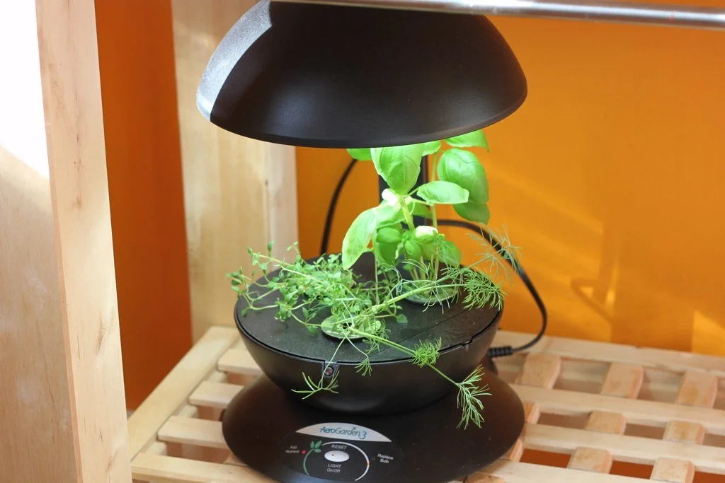 The Speedy Life & Tragic Death of My AeroGarden
