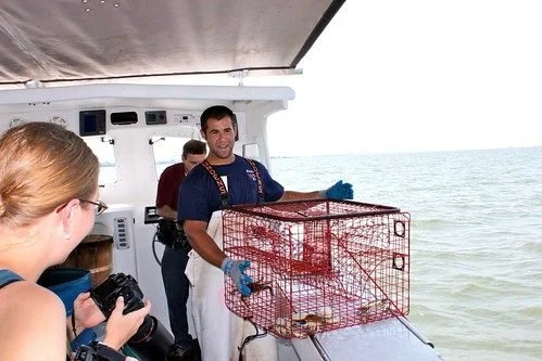 Our Louisiana Seafood Adventure