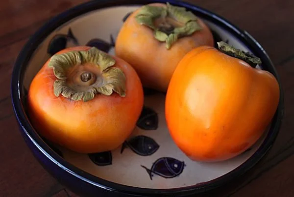 My First Persimmons