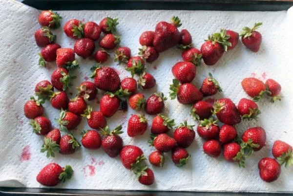 How To Store Strawberries