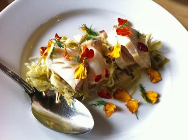 A Return to Sitka & Spruce