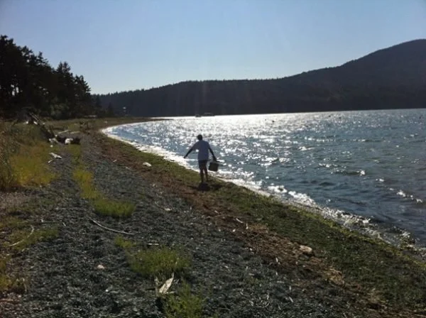 Surfacing on Eliza Island