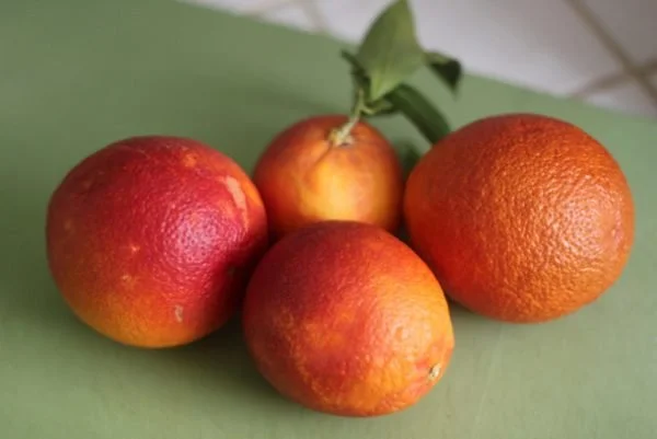 Blood Orange Olive Oil Cake