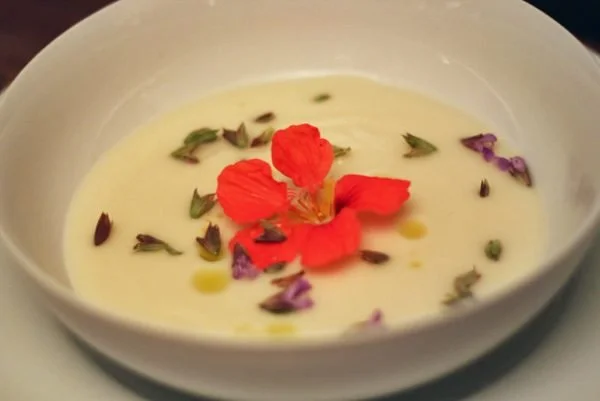 Let’s Eat Flowers!