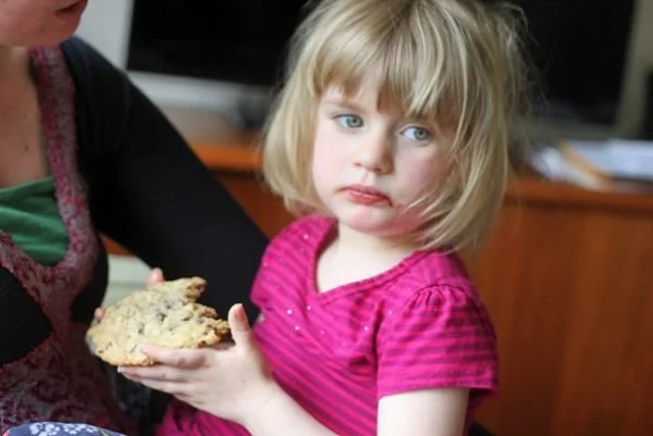 Chocolate Cranberry Oat Cookies So Good They’ll Stop Your Kid From Crying
