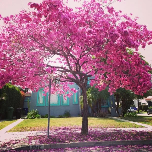 Friday Food Links (4/12/13)