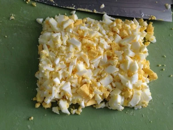 Healthy Egg Salad with Yogurt, Olives and Scallions