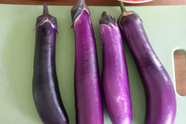 Oven-Broiled Eggplant Dip