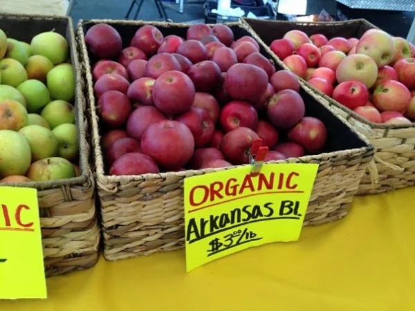 Arkansas Black Apple Cobbler