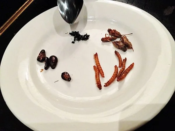 I Ate Bugs at Billy Kwong