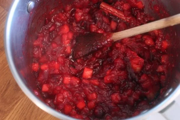 Cranberry Sauce 101