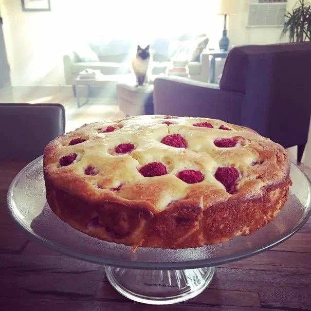 Raspberry Ricotta Cake