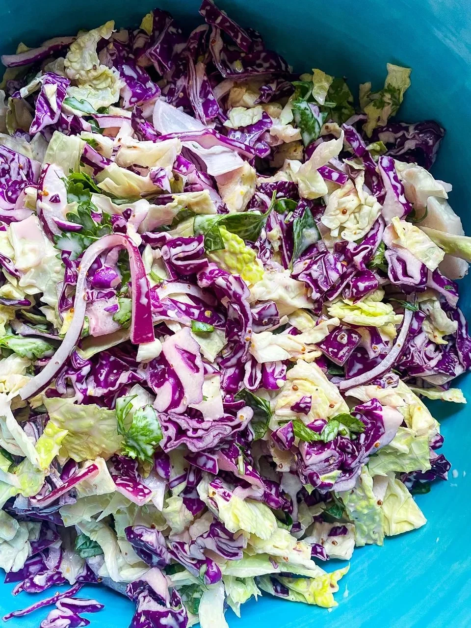 Don’t Ask Me About My Coleslaw