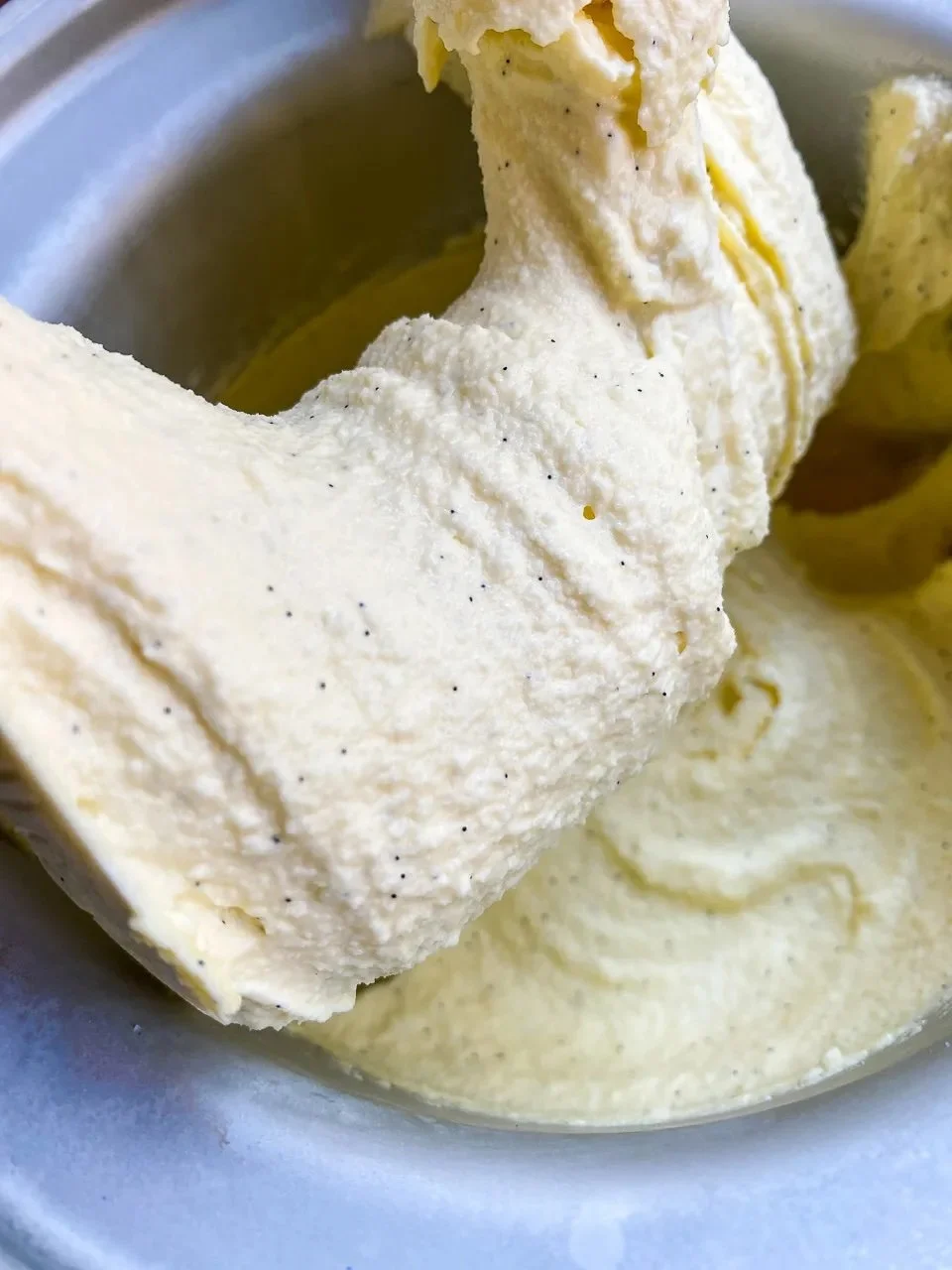 Double Vanilla Bean Ice Cream