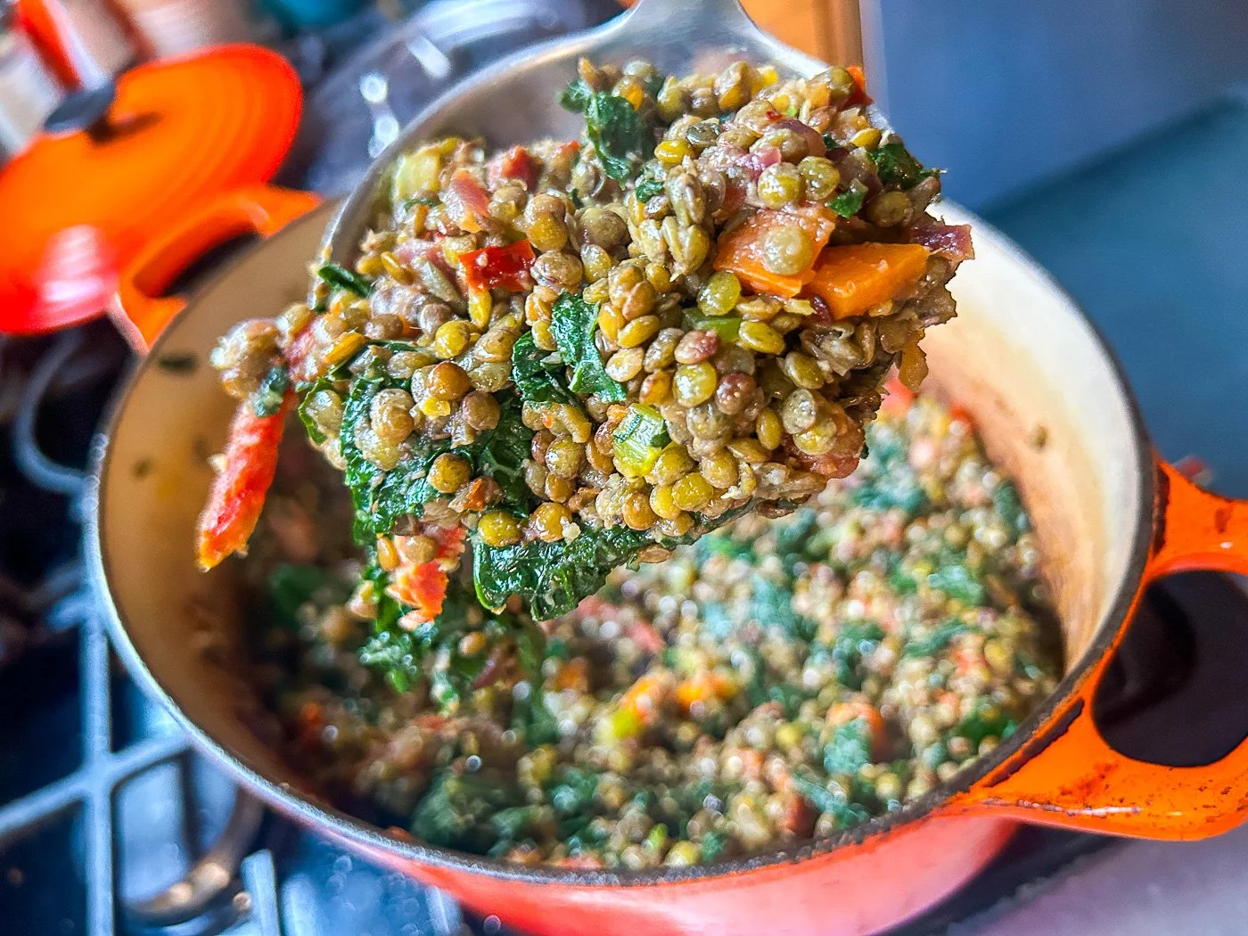 Lentils with Pancetta, Anchovies, Sun-Dried Tomatoes, and Kale