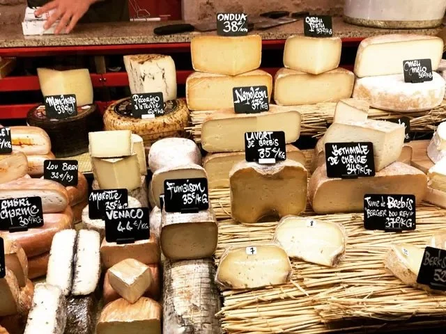 Paris Highlights