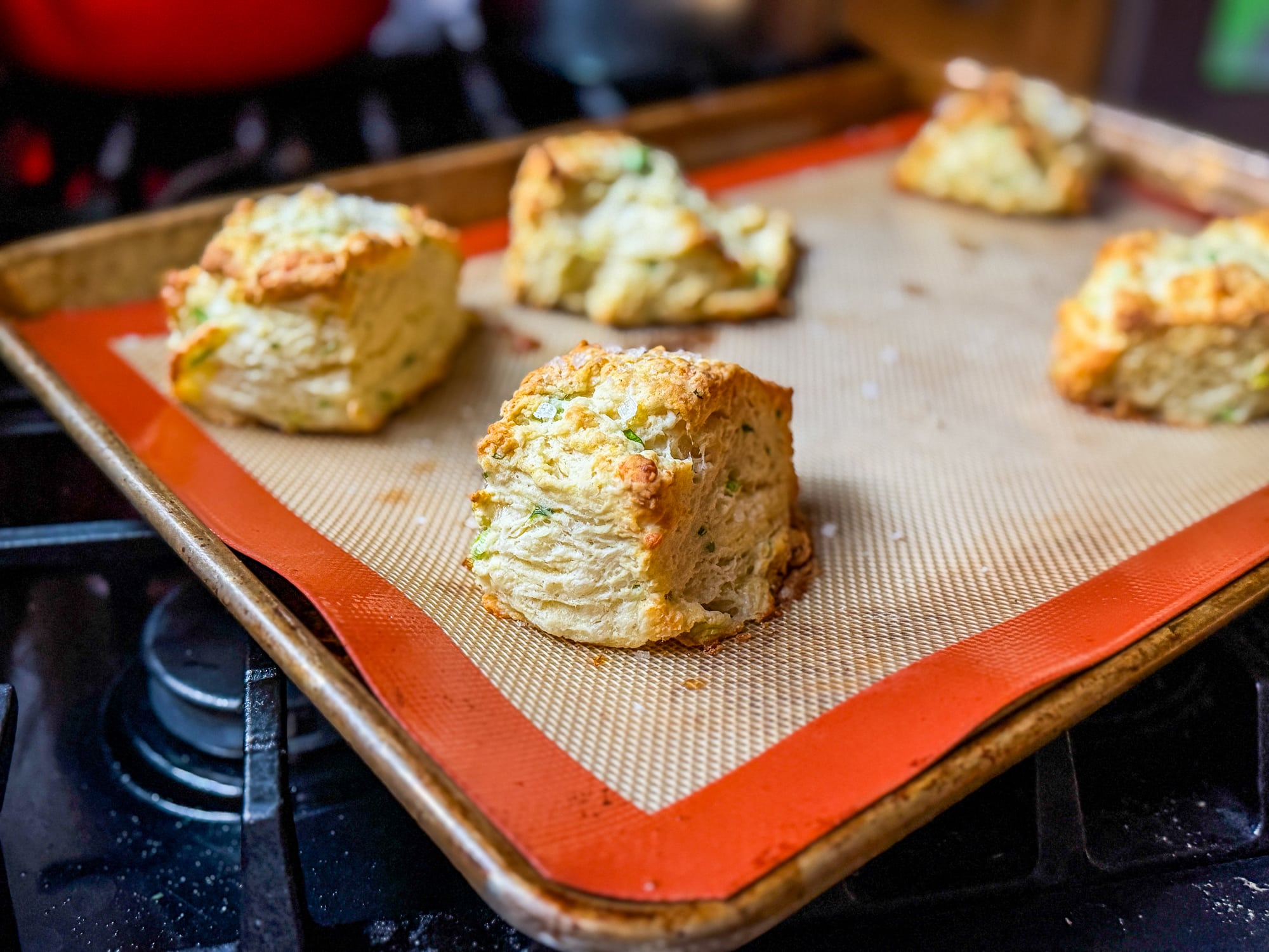 Sour Cream Cheddar Biscuits