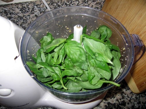 Presto, Pesto