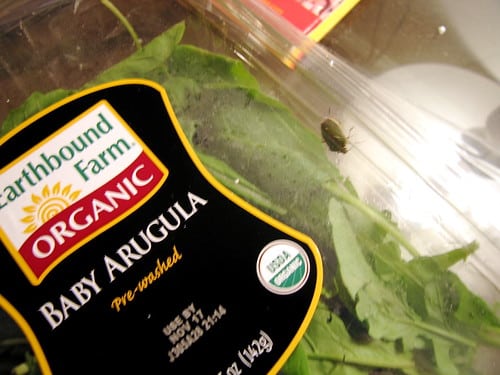 Waiter, There’s a Bug in My Arugula