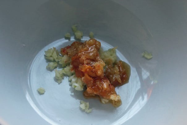Cold Chicken, Carrot Salad and Yogurt Sauce
