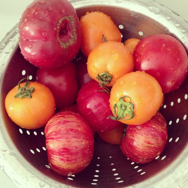 How To Make A Summer Farmer’s Market Feast